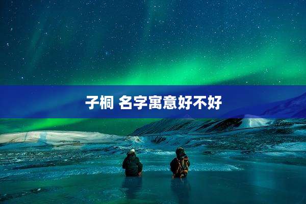 子桐 名字寓意好不好