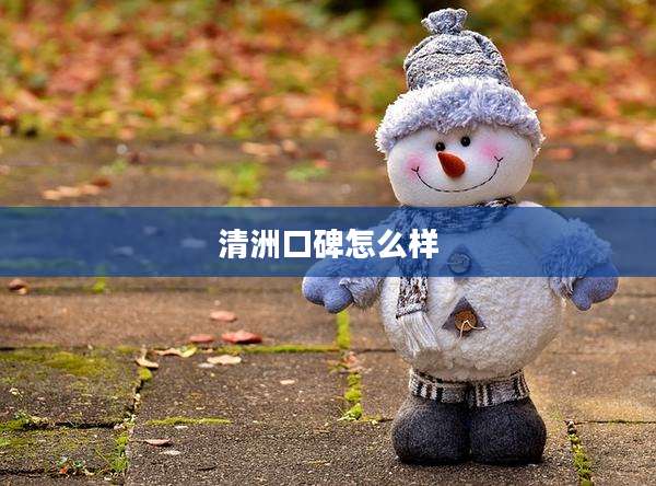 清洲口碑怎么样