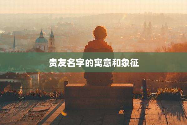 贵友名字的寓意和象征