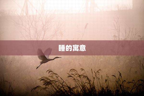 睡的寓意