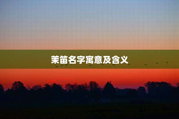 茉笛名字寓意及含义