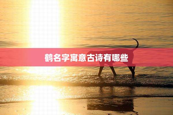 鹤名字寓意古诗有哪些