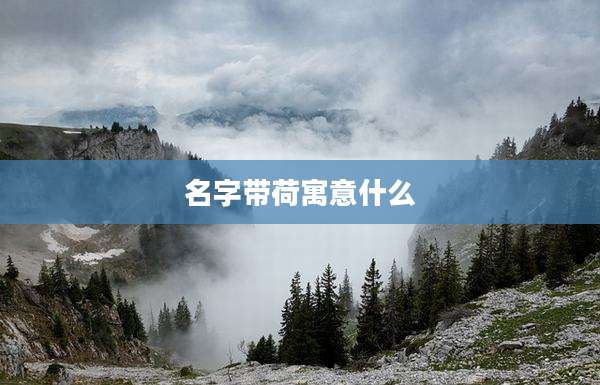 名字带荷寓意什么