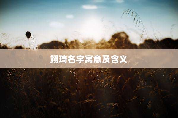 翊琦名字寓意及含义