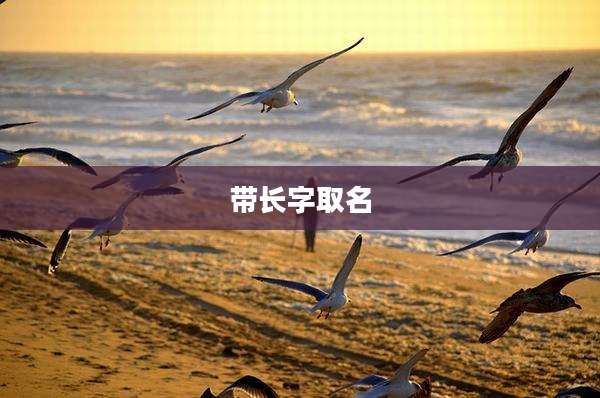 带长字取名