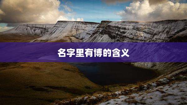 名字里有博的含义