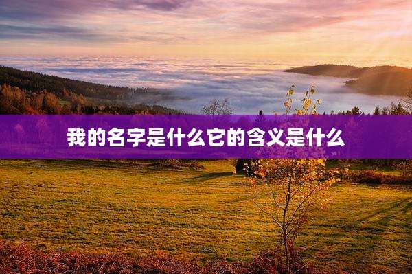 我的名字是什么它的含义是什么