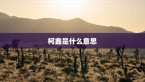 柯鑫是什么意思