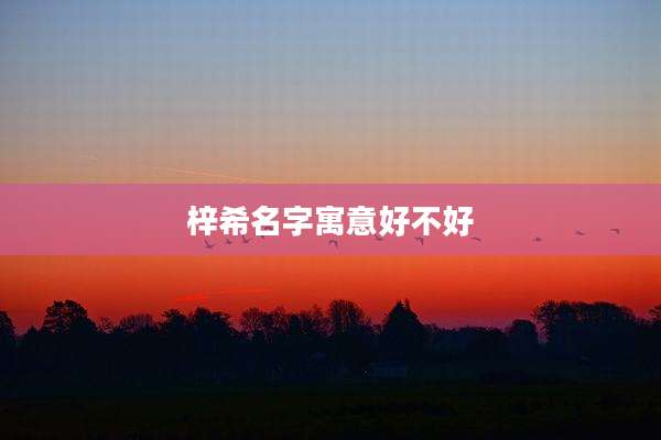 梓希名字寓意好不好