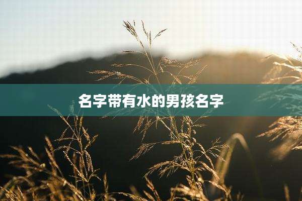 名字带有水的男孩名字