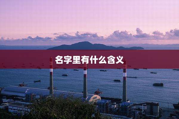 名字里有什么含义
