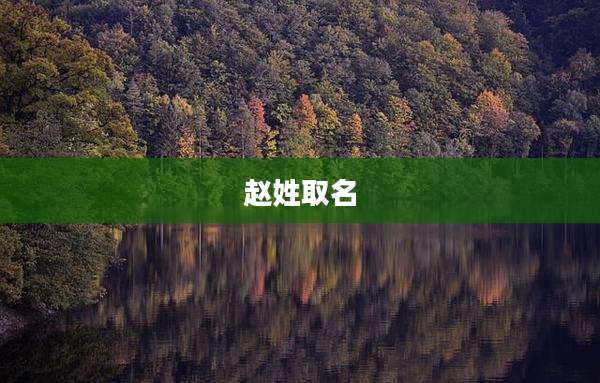 赵姓取名