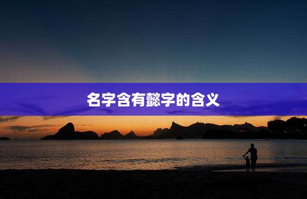 名字含有懿字的含义