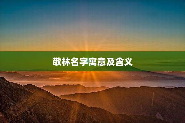 敬林名字寓意及含义