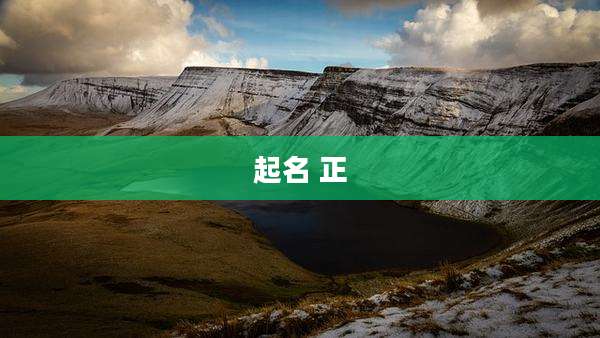 起名 正