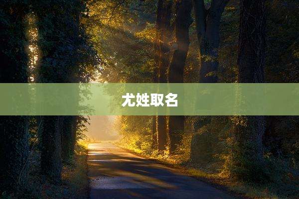 尤姓取名