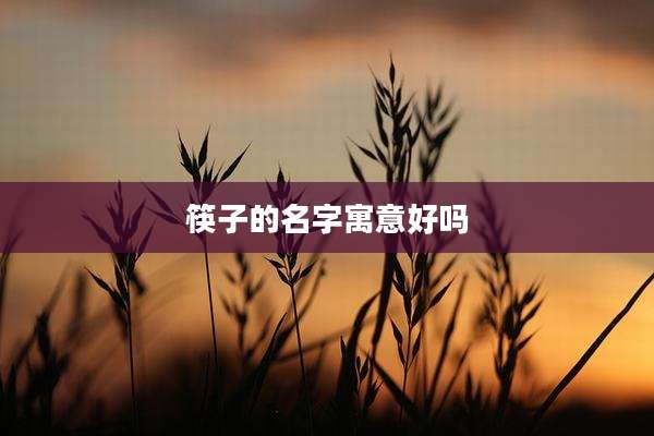 筷子的名字寓意好吗