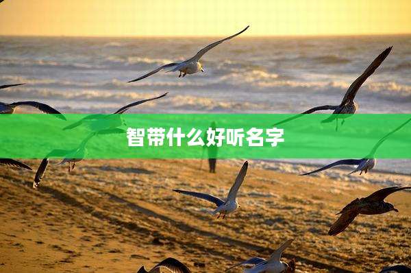 智带什么好听名字