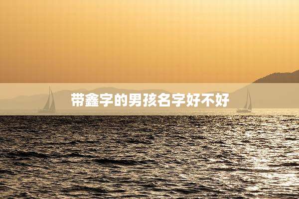 带鑫字的男孩名字好不好