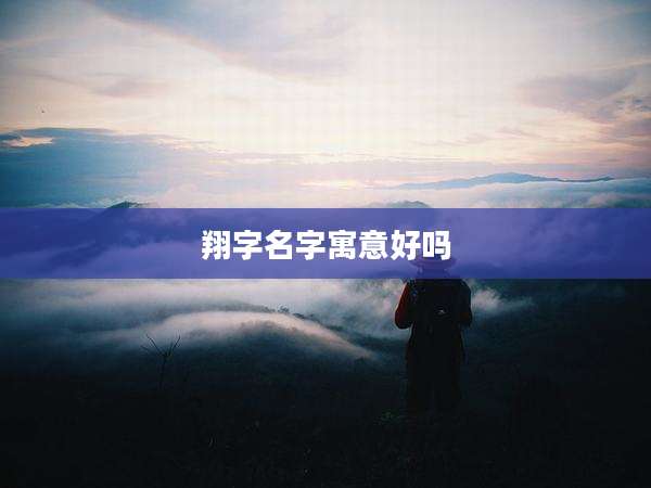 翔字名字寓意好吗