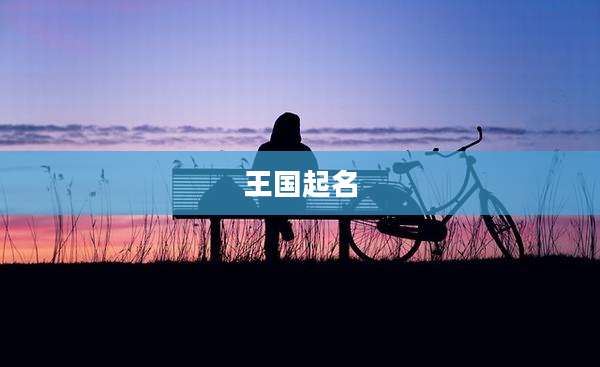 王国起名