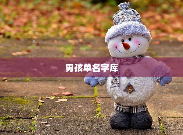 男孩单名字库