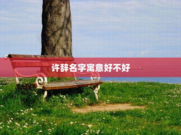 许辞名字寓意好不好