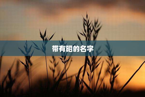 带有昭的名字