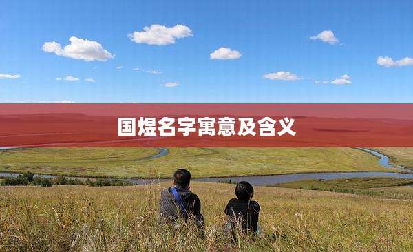 国煜名字寓意及含义