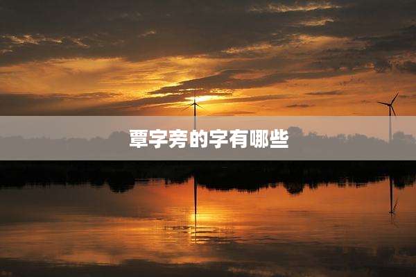 覃字旁的字有哪些