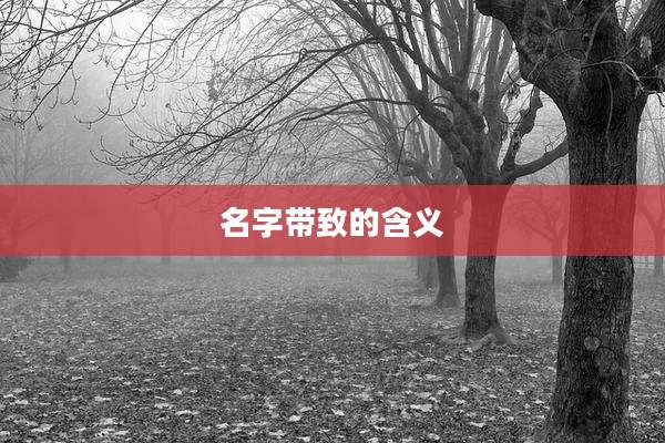 名字带致的含义