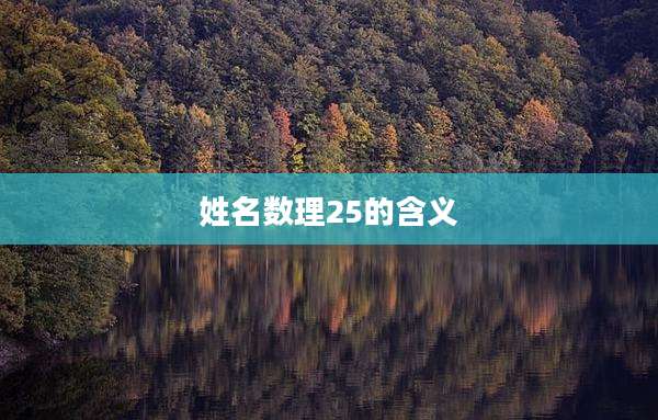 姓名数理25的含义