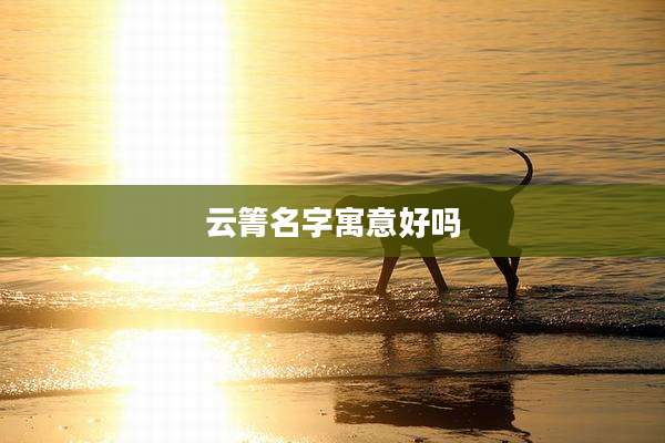 云箐名字寓意好吗