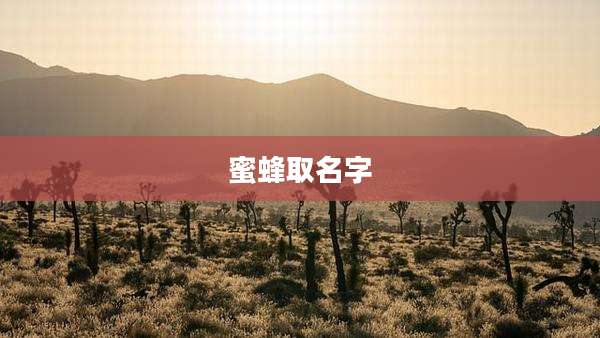 蜜蜂取名字