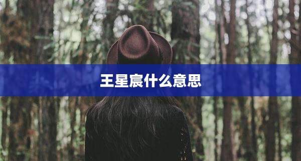 王星宸什么意思