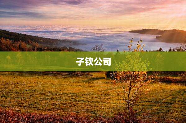 子钦公司