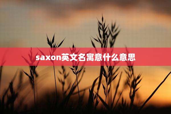 saxon英文名寓意什么意思