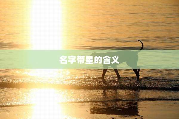 名字带星的含义