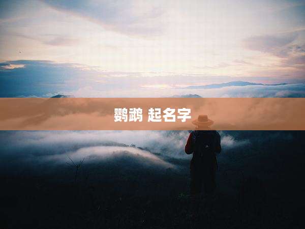 鹦鹉 起名字