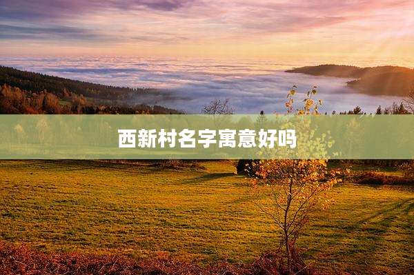 西新村名字寓意好吗