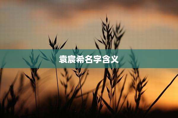 袁宸希名字含义