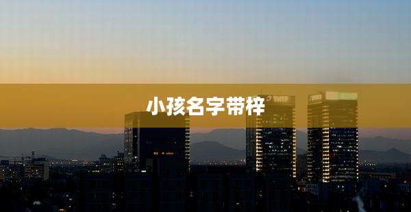 小孩名字带梓
