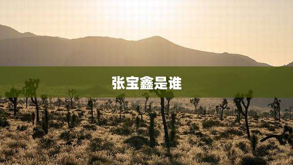 张宝鑫是谁