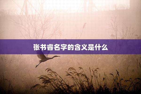 张书睿名字的含义是什么