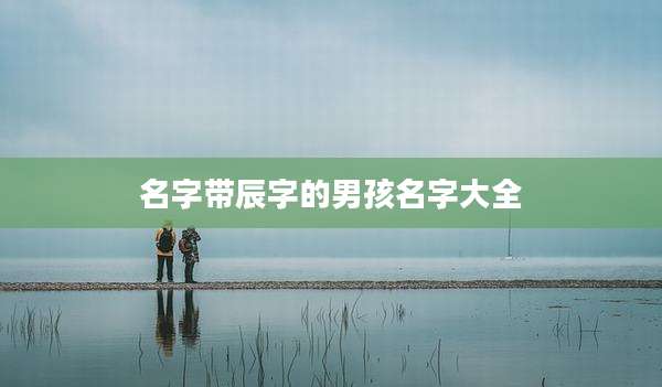 名字带辰字的男孩名字大全