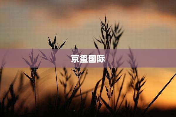 京玺国际