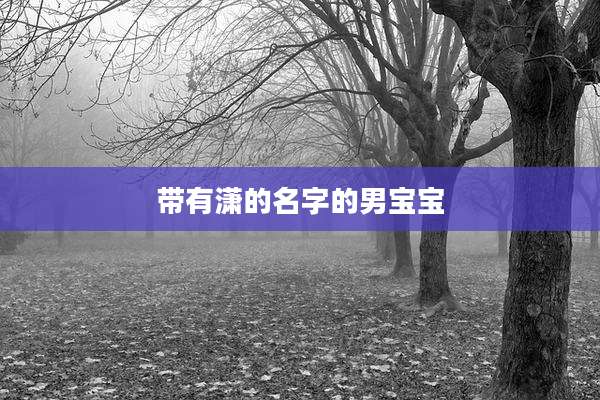 带有潇的名字的男宝宝