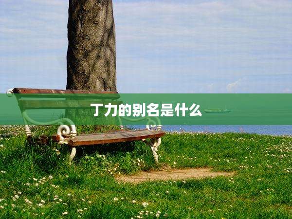 丁力的别名是什么