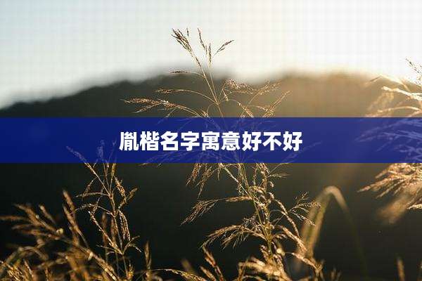 胤楷名字寓意好不好