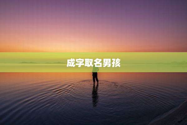 成字取名男孩